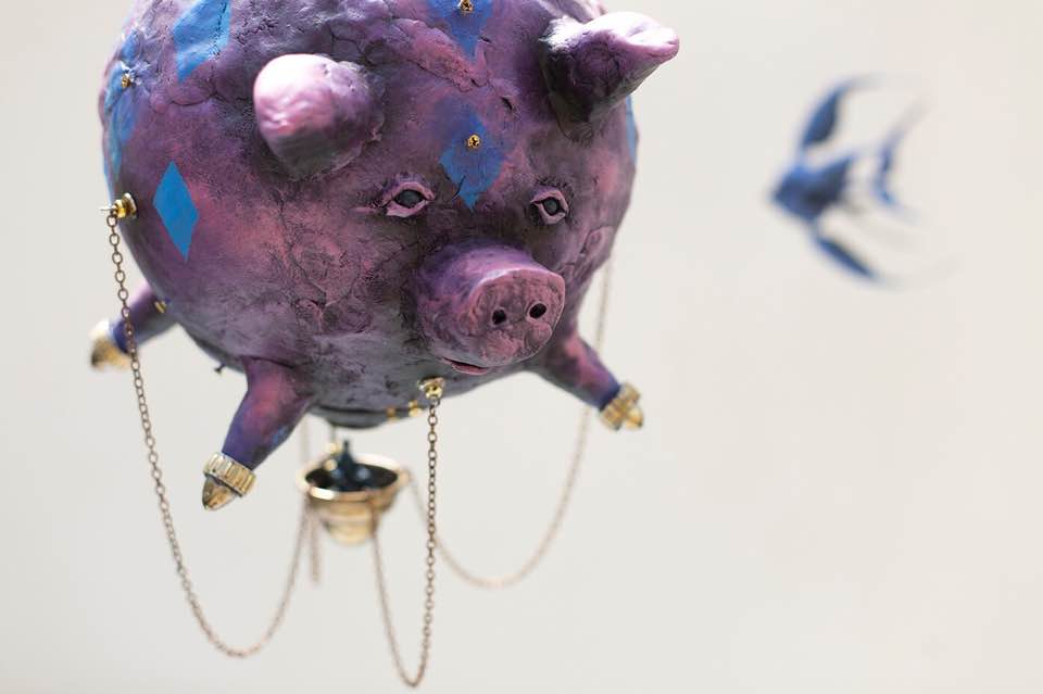 Flight Pig, photo coutesy Cooper Reid