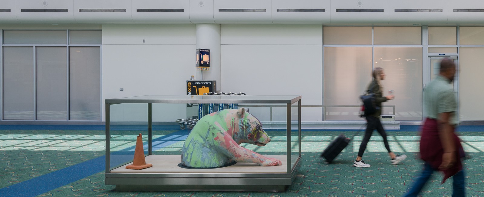 A Colorful Bear Emerges from Hibernation in Concourse D